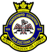 Small image of the 103 Thunderbird RCACS Crest