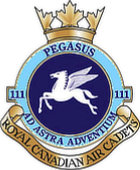 Small image of the 111 Pegasus RCACS Crest