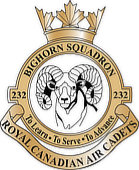Small image of the 232 Bighorn RCACS Crest