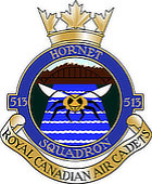Small image of the 513 Hornet RCACS Crest