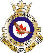 Small image of the 759 Falcon RCACS Crest