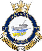 Small image of the 787 Banshee RCACS Crest