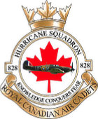 Small image of the 828 Hurricane RCACS Crest