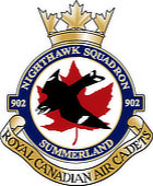 Small image of the 902 Nighthawk RCACS Crest